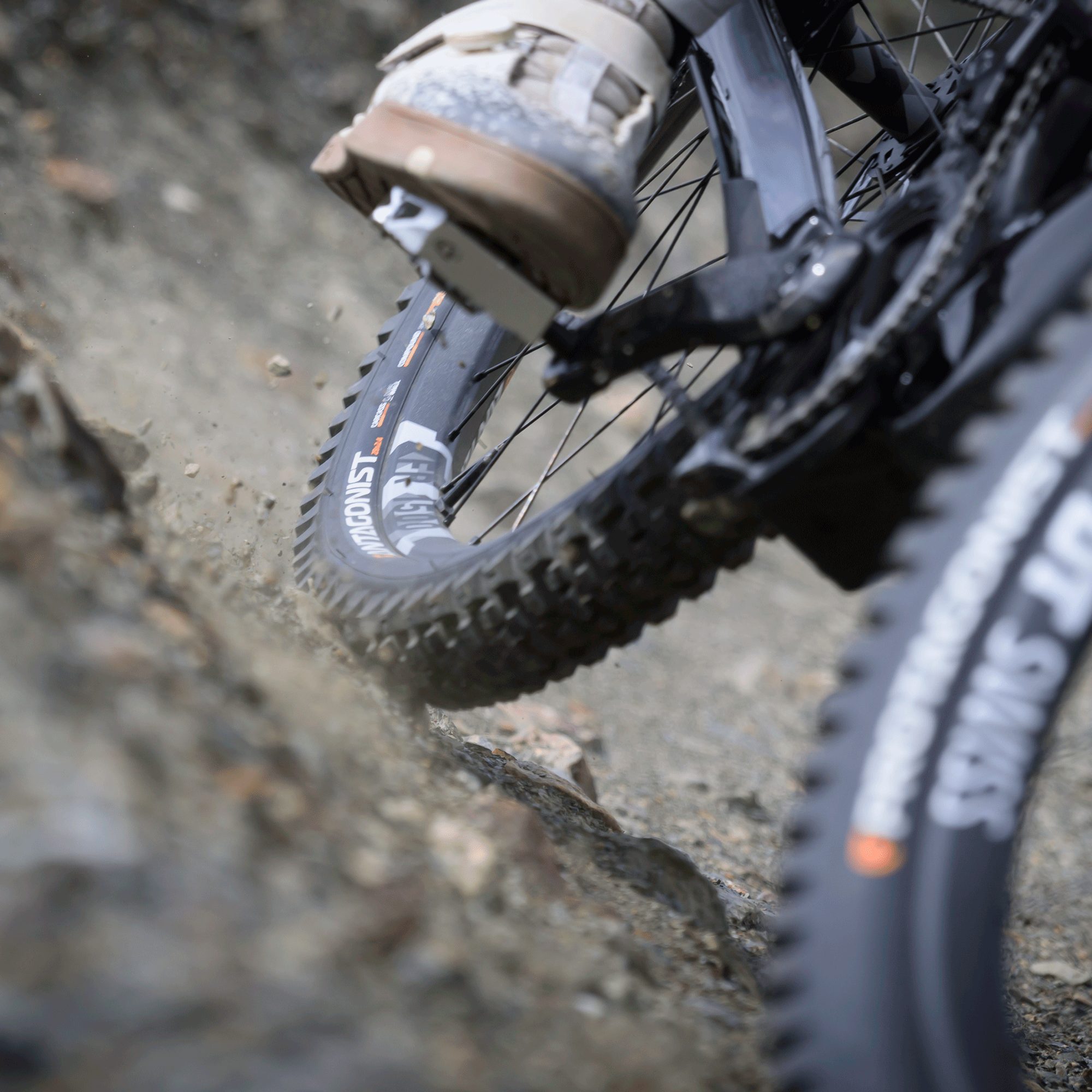Antagonist - DH/Enduro Tires