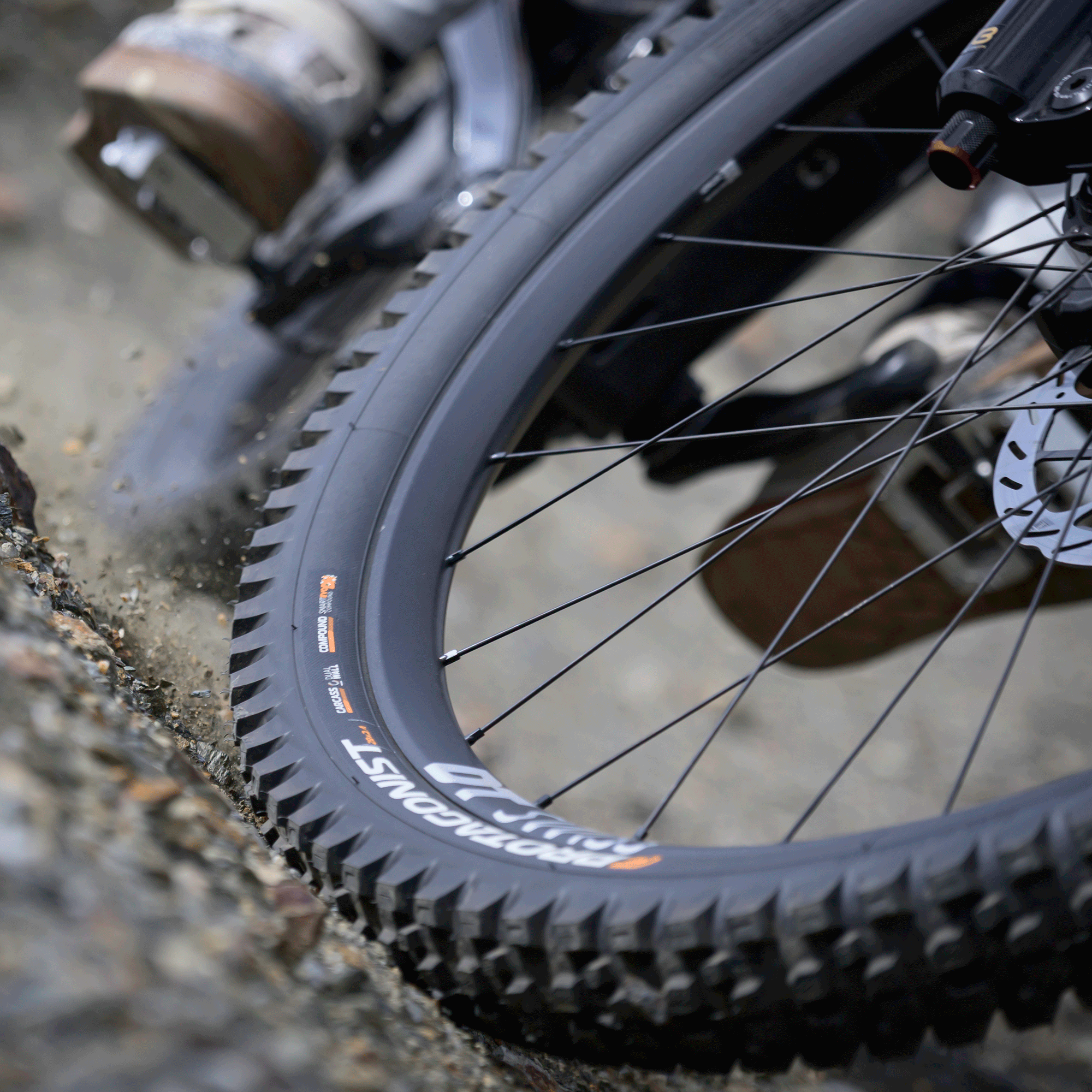 Protagonist - DH/Enduro Tires